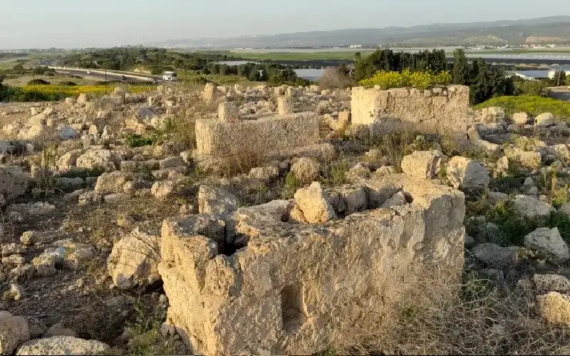 الصرفند.. قرية شاهدة على نكبة الفلسطينيين