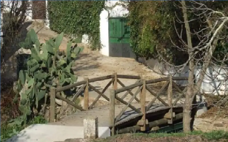 أصغر جسر في العالم ينقلك بين