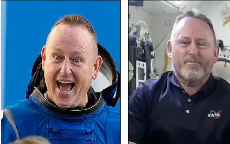 من أرجل الدجاج وأقدام الأطفال إلى