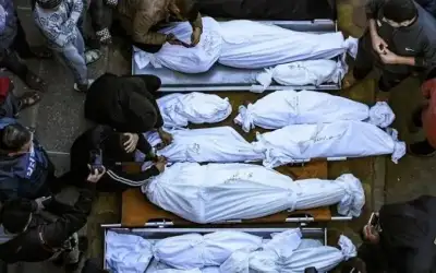 591 شهيدا في غزة منذ استئاف