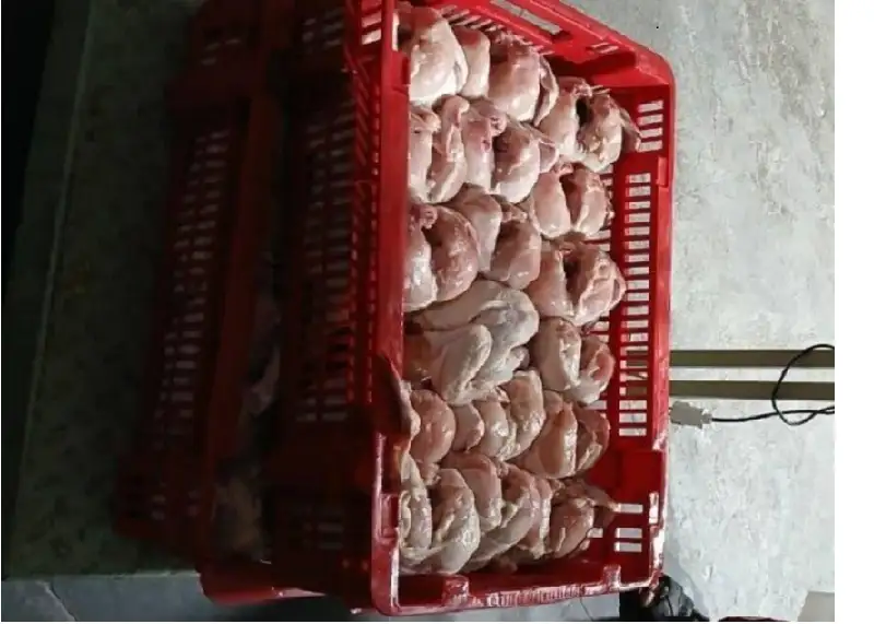 ضبط 81 كيلو غرام دواجن فاسدة