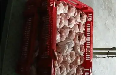 ضبط 81 كيلو غرام دواجن فاسدة