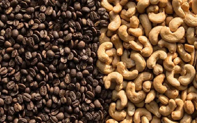 مزيج من الطعام والشراب يحمي الذاكرة