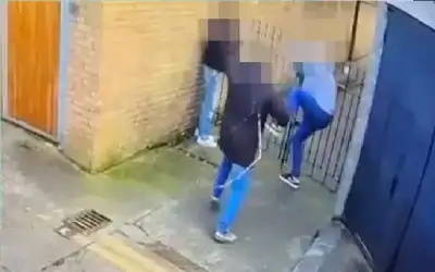سائس يجلد سائحين أمريكيين بالسوط بسبب