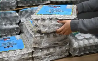 طوابير على البيض في نيويورك
