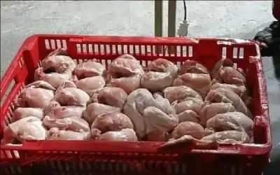 ضبط 81 كيلو غرام دواجن فاسدة