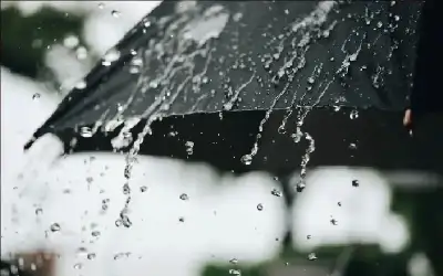الموسم المطري ما يزال دون معدلاته