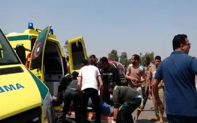 مصرع وإصابة 11 سودانيا في حادث