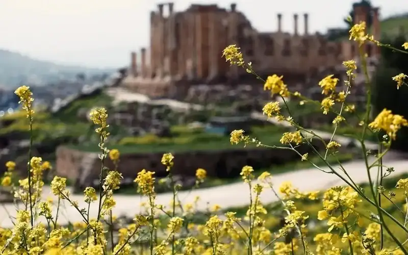 ارتفاع تدريجي على الحرارة وأجواء ربيعية