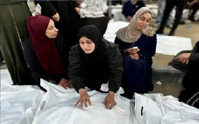 أكثر من 50 ألف شهيد و113