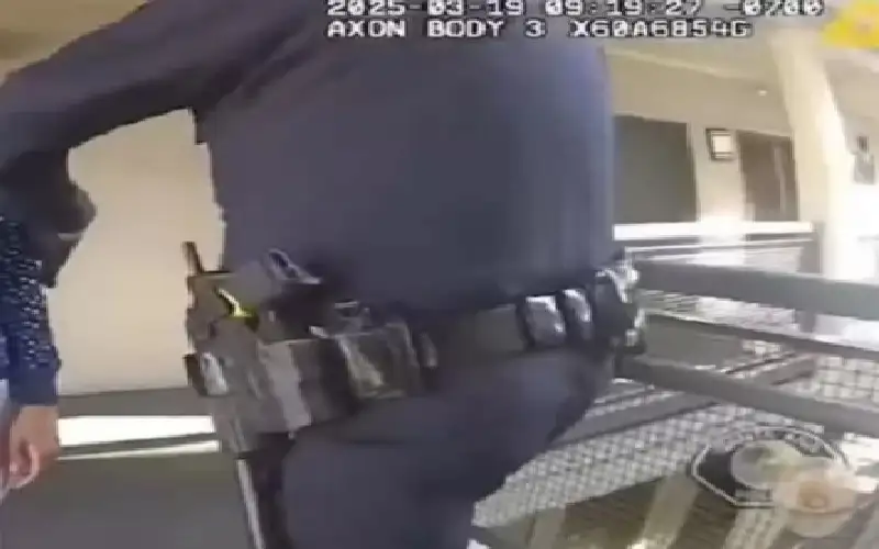 أم زومبي تذبح طفلها بعد رحلة