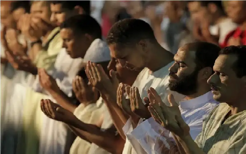 فديتك زائرا في كل عام.. الرمضانيات