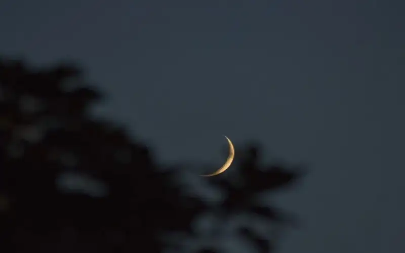 قطر والإمارات تعلن الأحد أول أيام