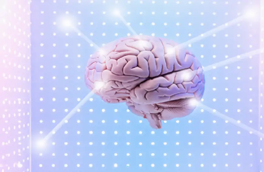 طرق عملية لـإعادة تشغيل الدماغ