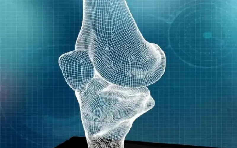 أجسام صناعية بشرية للتجارب الطبية