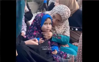 هل رأيتهم وهم يحاولون الحياة؟