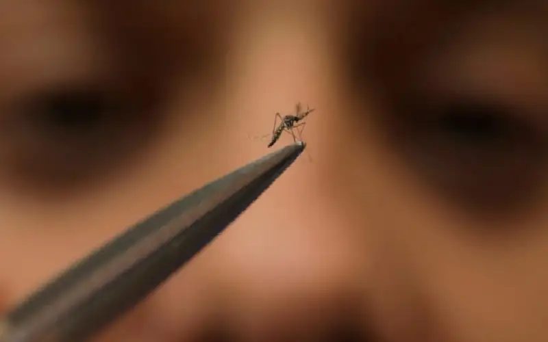 تحذير عاجل من فيروس كاسر العظام