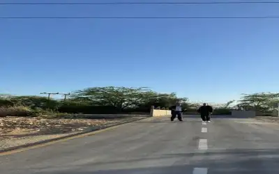 الانتهاء من مشروع جسر قناة الملك