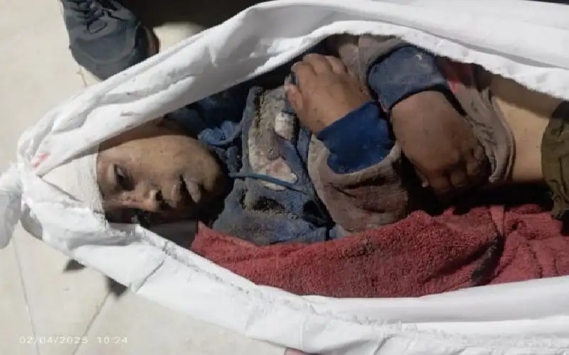 الاحتلال يواصل مجازره في غزة.. 16