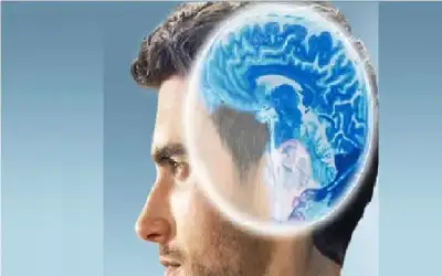 دماغ المرأة مقابل دماغ الرجل.. 6