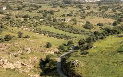 طقس دافئ وارتفاع ملموس على درجات
