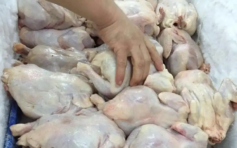 ضبط وإتلاف 200 كغم من الدجاج غير الصالح للاستهلاك البشري في المفرق