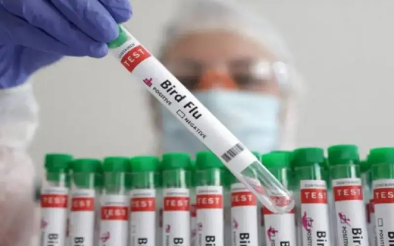 المكسيك تسجل أول حالة وفاة بسلالة