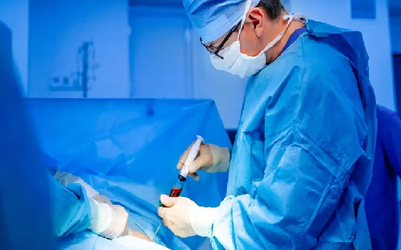 لأول مرة.. زراعة الخلايا الجذعية تعيد