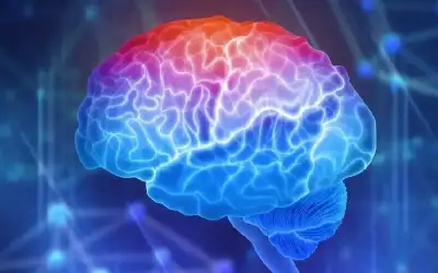 17 عاملا مشتركا بين السكتة الدماغية