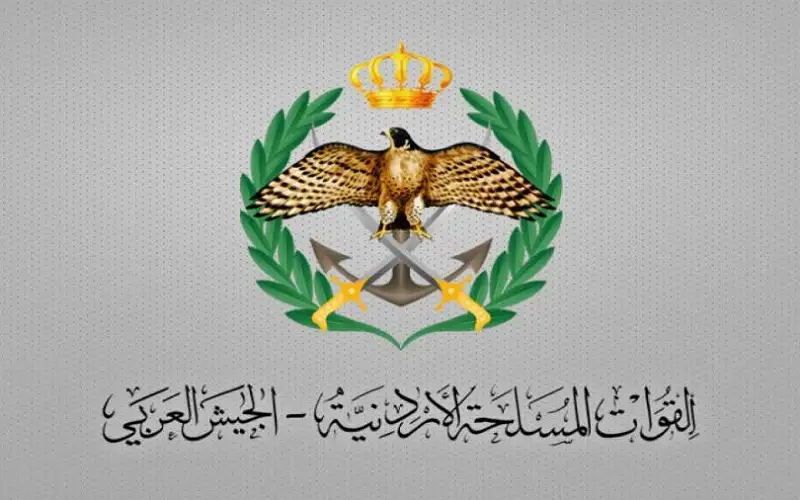 الجيش: سقوط طائرة مسيرة مجهولة فوق