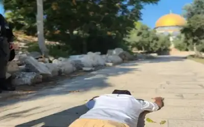 اليوم الأول من عيد الفصح اليهودي-