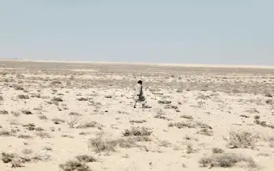 تحذيرات للاردنيين من البند 12 في