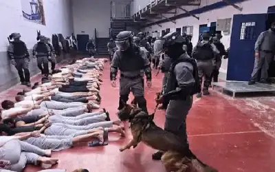معتقلو مجدو يواجهون آلام قمع السجان