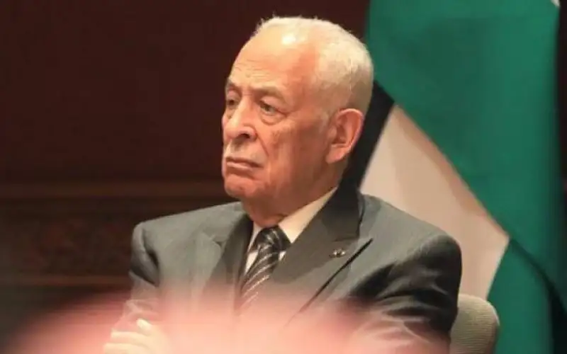 العيسوي : الأردن يرفض مشاريع التهجير أو التوطين