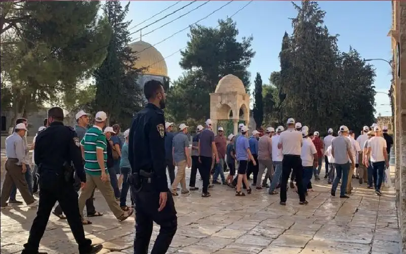 مئات المستوطنين يقتحمون الأقصى في ثالث