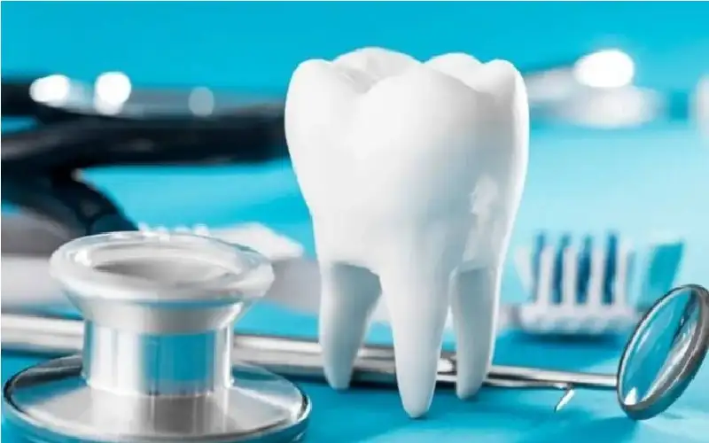 إنماء سن بشرية في المختبر لأول