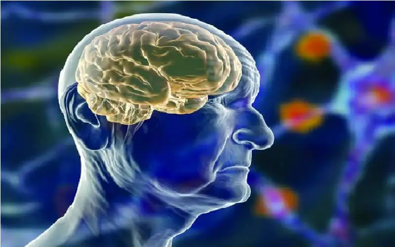 جسيمات نانوية ذكية توصل الأدوية إلى