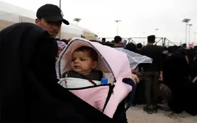 200 ألف مولود لم يسجلوا في