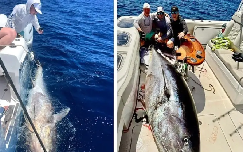 أمريكا.. مصرع 3 أشخاص إثر تصادم