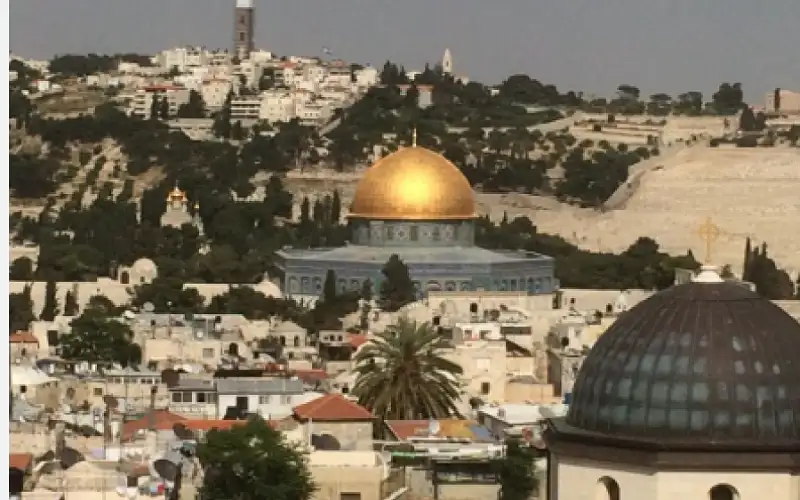 مؤتمر برلمانات مساندة فلسطين: الوصاية الهاشمية