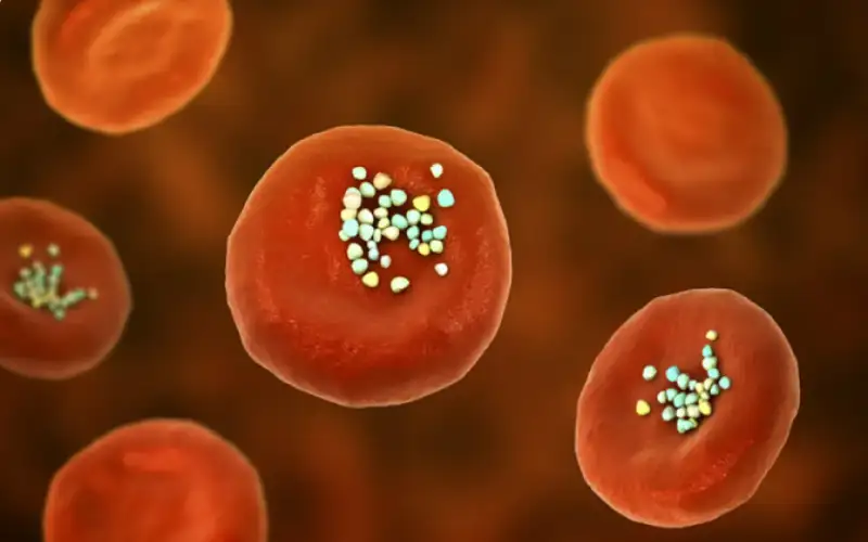 أرقام صادمة .. كم من البلاستيك