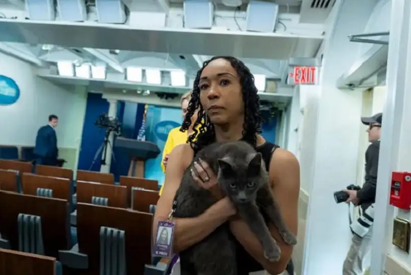 قطة غريبة تتسلل للبيت الأبيض وتدخل