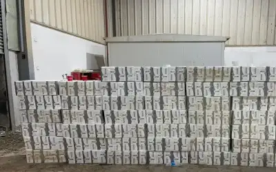 إحباط تهريب 2389 كروز دخان عبر