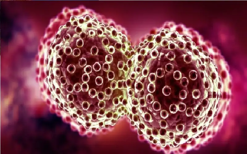 طريقة تحدد الخلايا السرطانية من حركتها