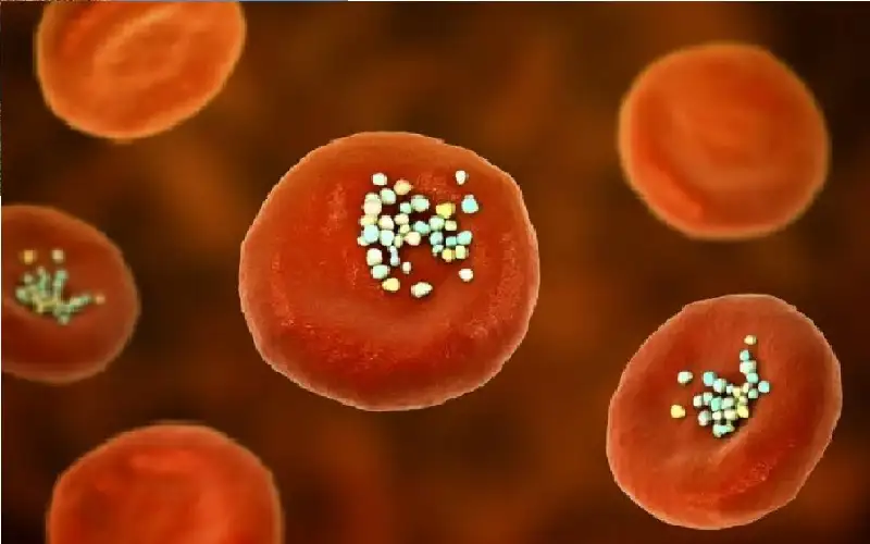 البلاستيك الدقيق يغزو جسد الإنسان