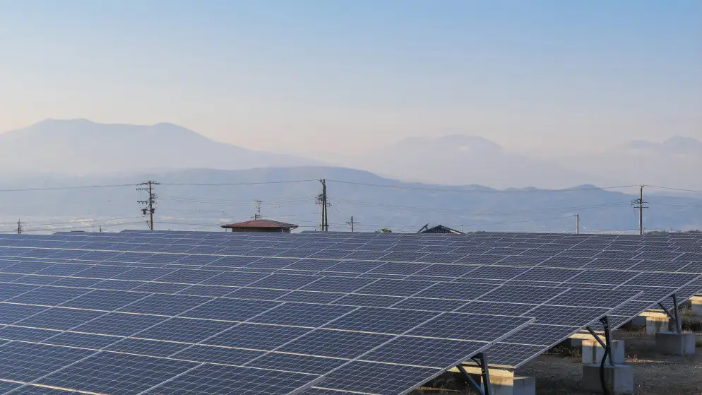 الأوقاف: تحويل أكبر عدد من المساجد