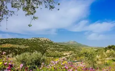 أسبوع متقلب جويا: ذروة الحرارة الأربعاء