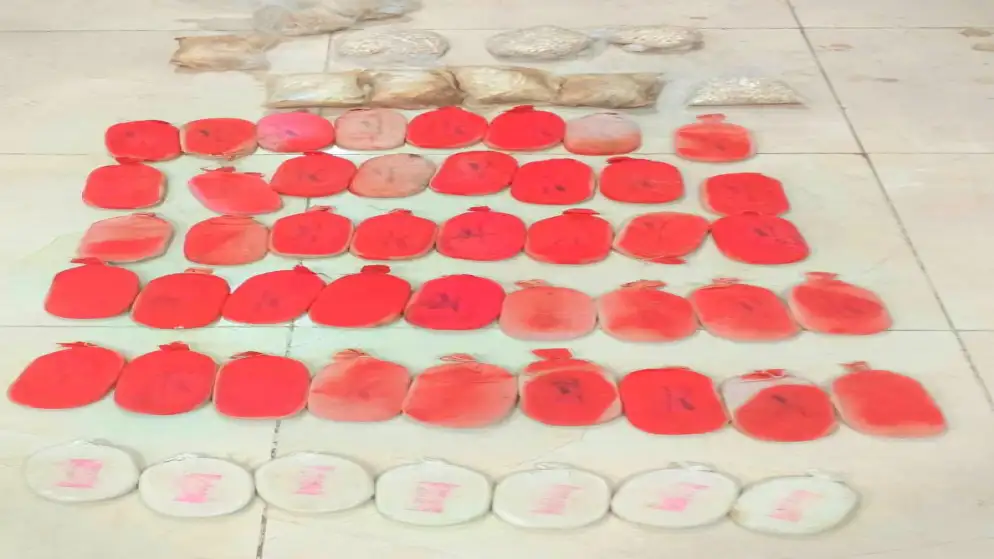 المنطقة العسكرية الشرقية تحبط محاولة تسلل