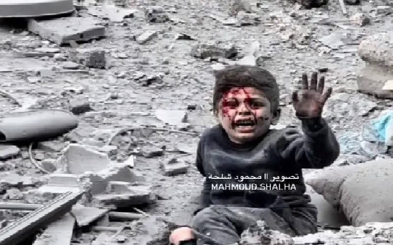 إنهم يتطايرون إلى المنازل المجاورة