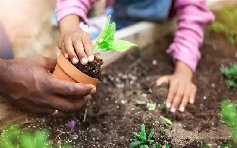 3 دقائق من النشاط العرضي تقلل